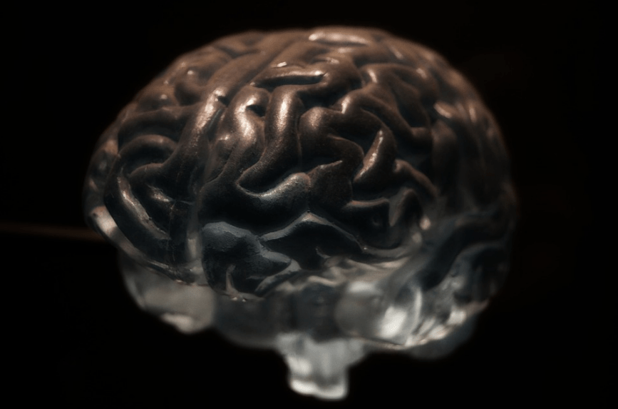 A human brain 