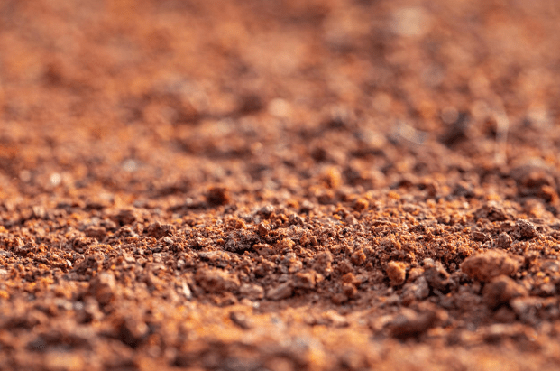 Brown sand texture
