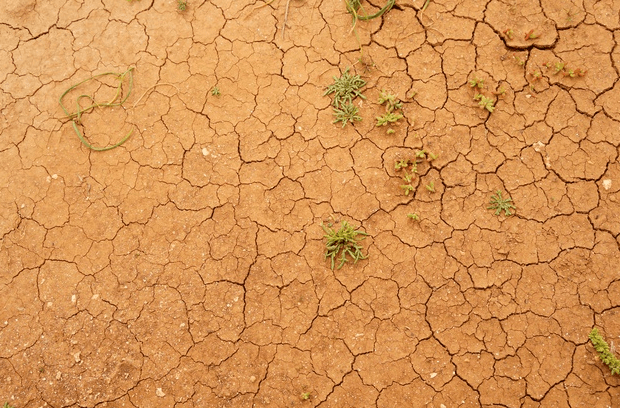 Closeup shot of a cracked ground surface