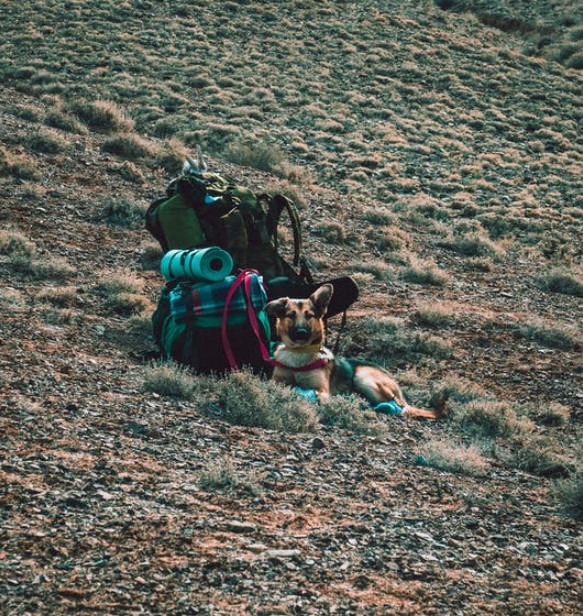 Follow All the Rules and Regulations of the Campground