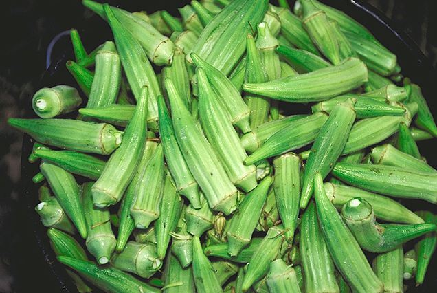 Okra is a primary ingredient of the American Gymbo Soup.