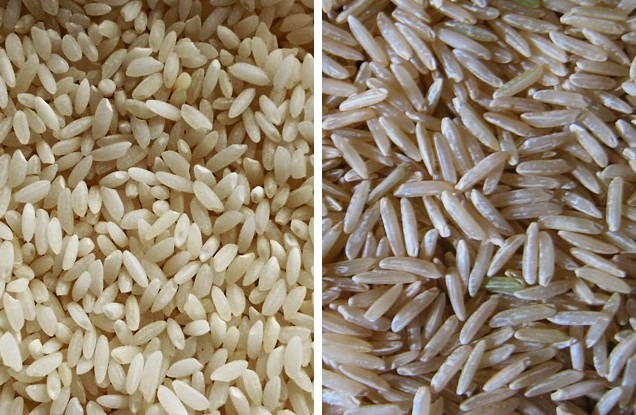 Two different varieties of rice